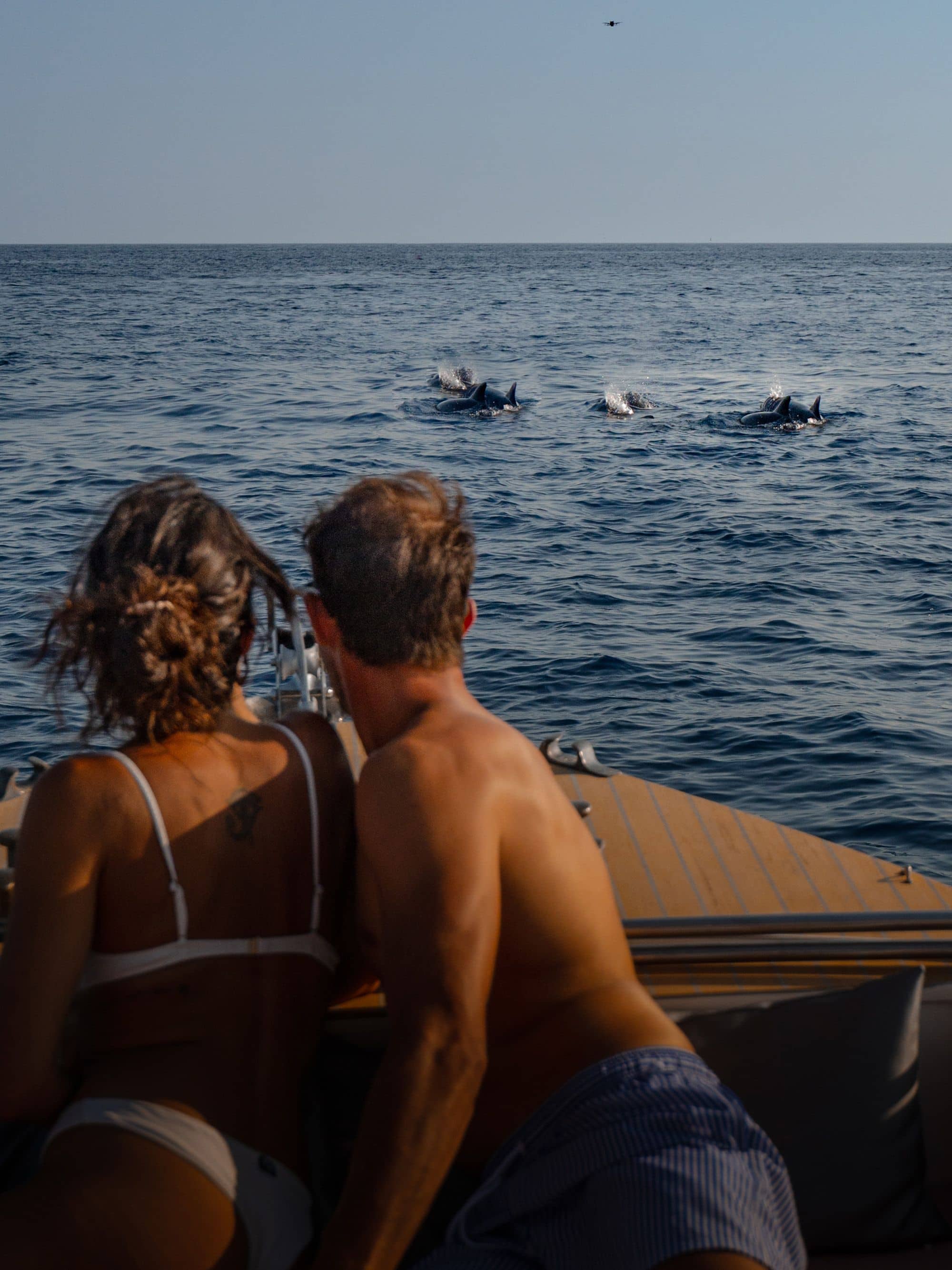 Tour, cruise, transfer and maritime tender services