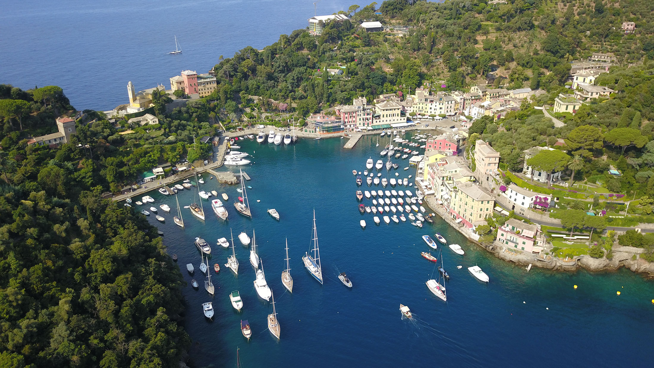 Tour, cruise, transfer and maritime tender services